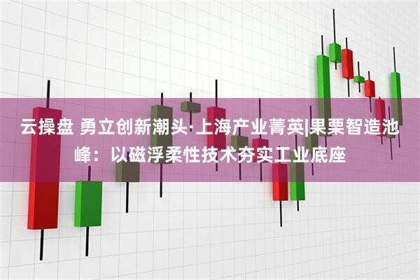 云操盘 勇立创新潮头·上海产业菁英|果栗智造池峰：以磁浮柔性技术夯实工业底座