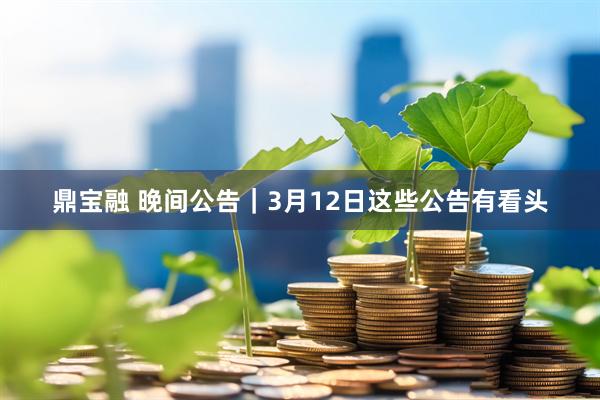 鼎宝融 晚间公告｜3月12日这些公告有看头