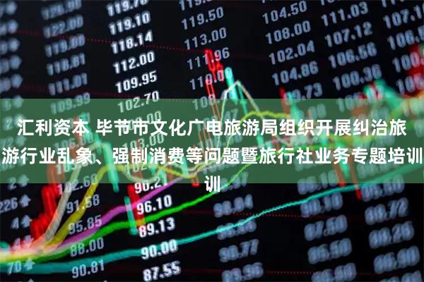 汇利资本 毕节市文化广电旅游局组织开展纠治旅游行业乱象、强制消费等问题暨旅行社业务专题培训
