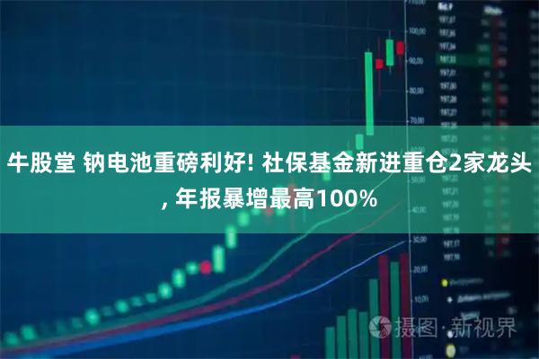 牛股堂 钠电池重磅利好! 社保基金新进重仓2家龙头, 年报暴增最高100%