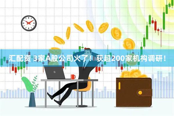汇配资 3家A股公司火了！获超200家机构调研！