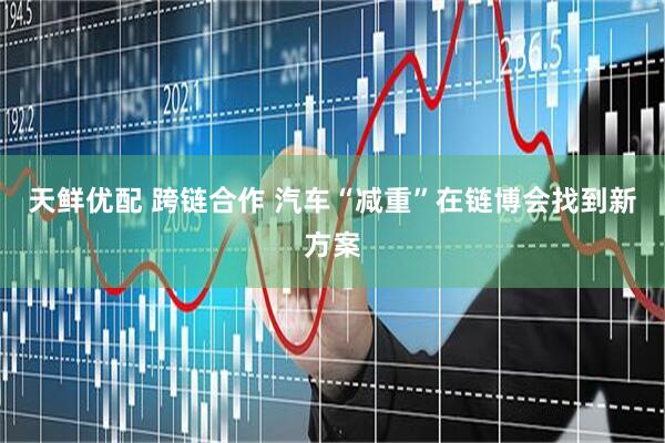 天鲜优配 跨链合作 汽车“减重”在链博会找到新方案