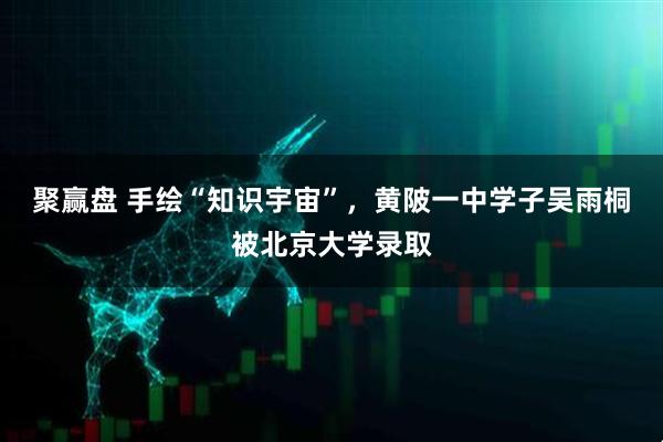 聚赢盘 手绘“知识宇宙”，黄陂一中学子吴雨桐被北京大学录取